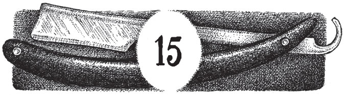 Иллюстрация к книге — Новые странствия Салли Джонс [i_037.jpg]