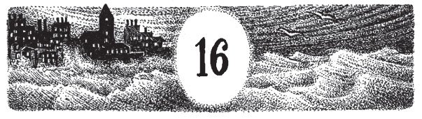 Иллюстрация к книге — Новые странствия Салли Джонс [i_038.jpg]