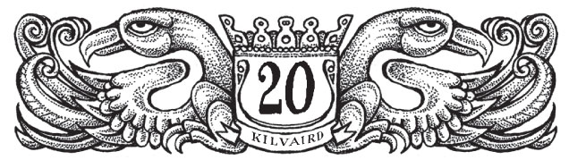 Иллюстрация к книге — Новые странствия Салли Джонс [i_042.jpg]