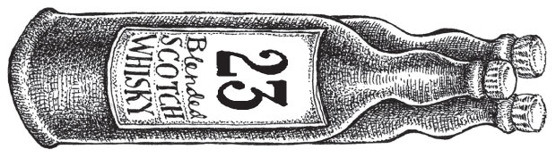 Иллюстрация к книге — Новые странствия Салли Джонс [i_045.jpg]