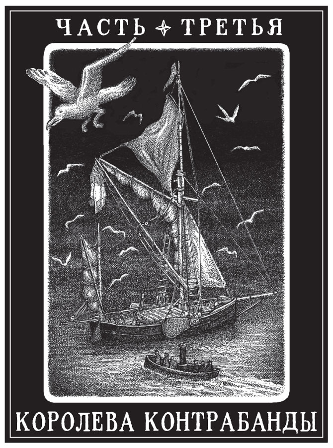 Иллюстрация к книге — Новые странствия Салли Джонс [i_046.jpg]