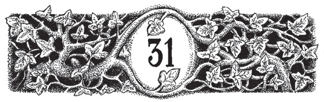 Иллюстрация к книге — Новые странствия Салли Джонс [i_054.jpg]