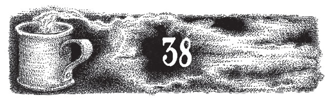 Иллюстрация к книге — Новые странствия Салли Джонс [i_061.jpg]