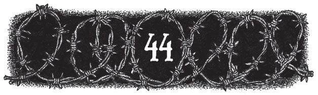 Иллюстрация к книге — Новые странствия Салли Джонс [i_068.jpg]