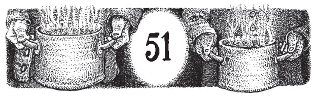 Иллюстрация к книге — Новые странствия Салли Джонс [i_075.jpg]