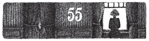 Иллюстрация к книге — Новые странствия Салли Джонс [i_079.jpg]