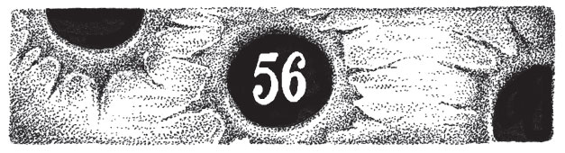 Иллюстрация к книге — Новые странствия Салли Джонс [i_080.jpg]