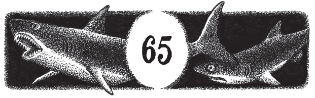 Иллюстрация к книге — Новые странствия Салли Джонс [i_090.jpg]