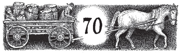 Иллюстрация к книге — Новые странствия Салли Джонс [i_095.jpg]