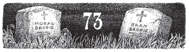 Иллюстрация к книге — Новые странствия Салли Джонс [i_098.jpg]