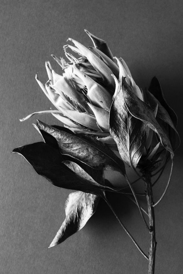 Иллюстрация к книге — Девочка со шрамами. Истории, которые помогают жить [i_006.jpg]