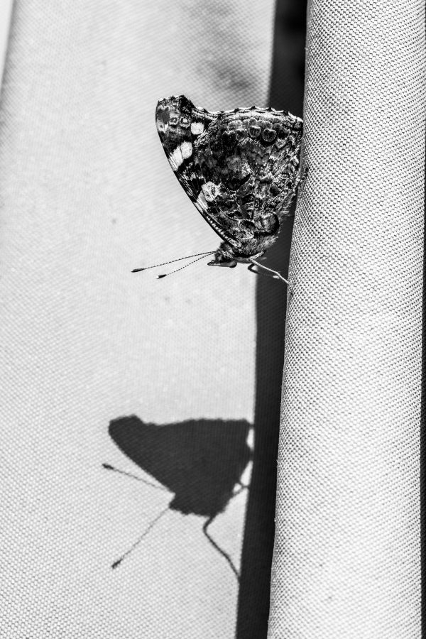 Иллюстрация к книге — Девочка со шрамами. Истории, которые помогают жить [i_008.jpg]