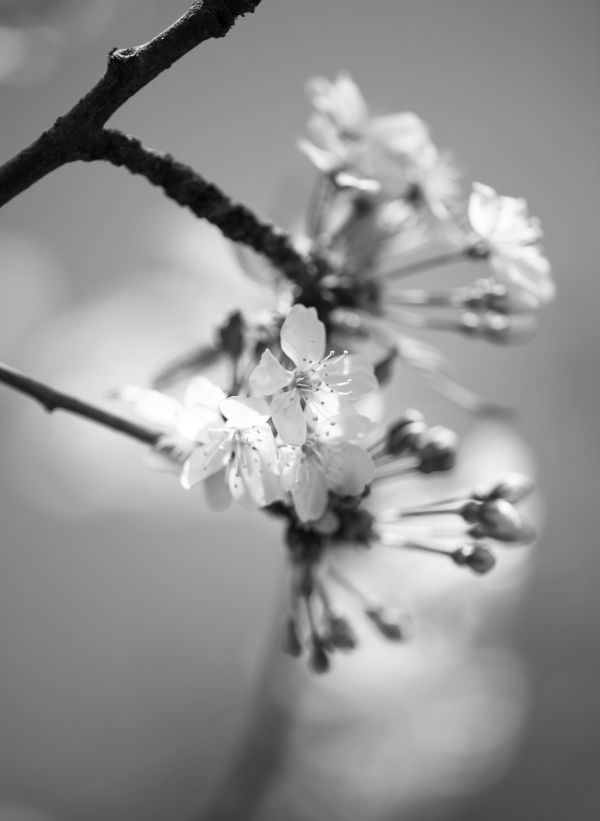 Иллюстрация к книге — Девочка со шрамами. Истории, которые помогают жить [i_017.jpg]