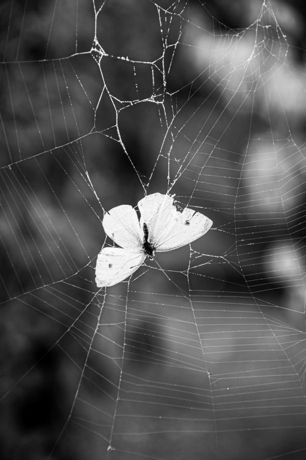 Иллюстрация к книге — Девочка со шрамами. Истории, которые помогают жить [i_018.jpg]