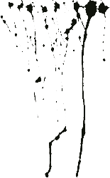 Иллюстрация к книге — Порча [i_009.jpg]