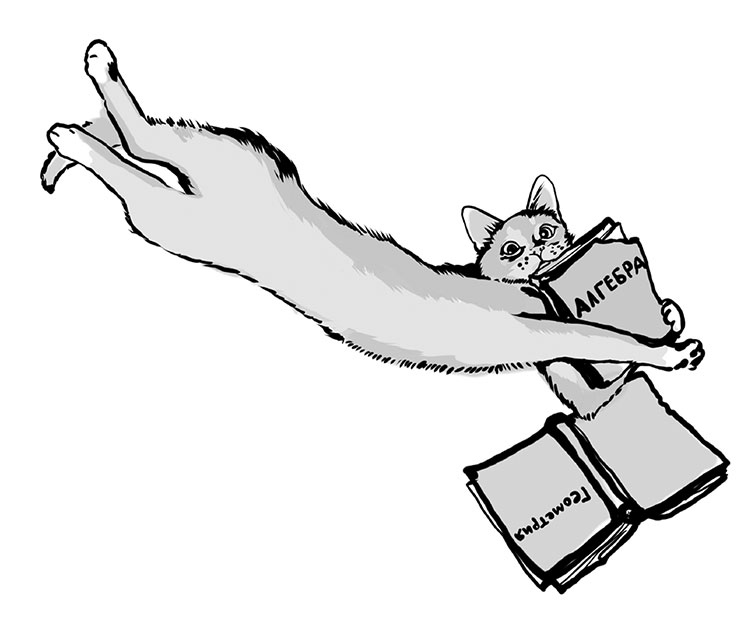 Иллюстрация к книге — Тысяча и одно мяу. Удивительные кошачьи истории о людях, любви, верности и потерях [i_007.jpg]