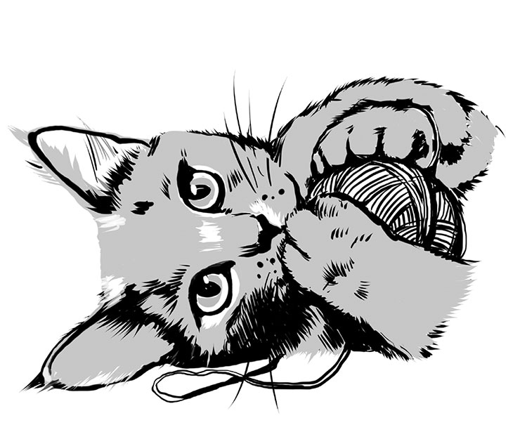 Иллюстрация к книге — Тысяча и одно мяу. Удивительные кошачьи истории о людях, любви, верности и потерях [i_013.jpg]