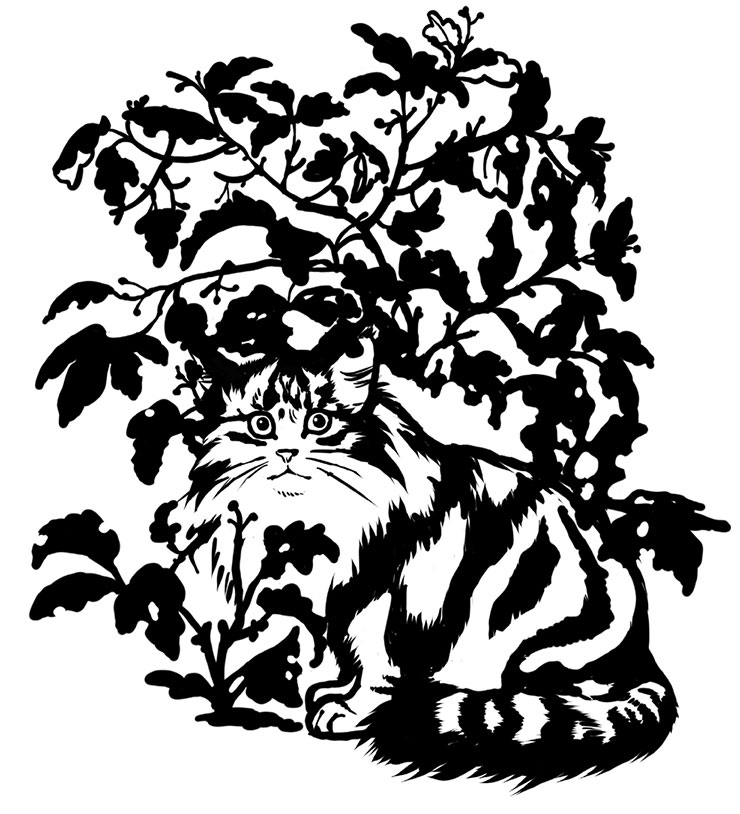 Иллюстрация к книге — Тысяча и одно мяу. Удивительные кошачьи истории о людях, любви, верности и потерях [i_016.jpg]