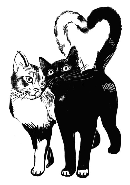 Иллюстрация к книге — Тысяча и одно мяу. Удивительные кошачьи истории о людях, любви, верности и потерях [i_040.jpg]