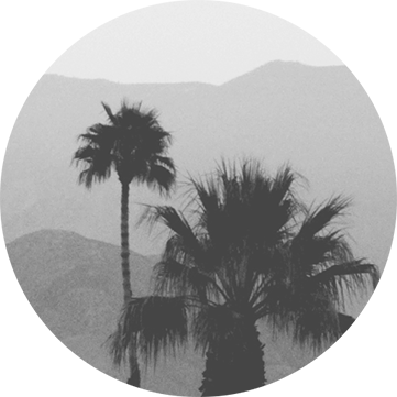 Иллюстрация к книге — Семь мужей Эвелин Хьюго [i_001.jpg]