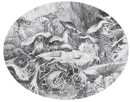 Иллюстрация к книге — Фунгус [i_007.jpg]