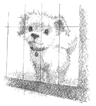 Иллюстрация к книге — Щенок Асти, или Послушай, как я читаю [i_001.jpg]