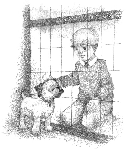 Иллюстрация к книге — Щенок Асти, или Послушай, как я читаю [i_011.jpg]