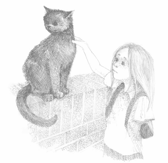 Иллюстрация к книге — Котёнок Тучка, или Пушистое приключение [i_012.jpg]