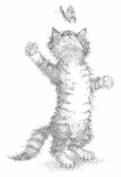 Иллюстрация к книге — Котёнок Тучка, или Пушистое приключение [i_018.jpg]