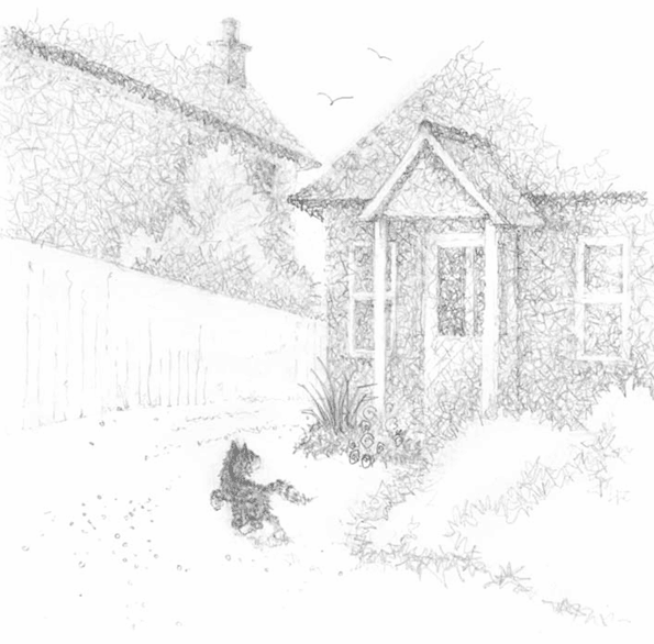 Иллюстрация к книге — Котёнок Тучка, или Пушистое приключение [i_031.jpg]