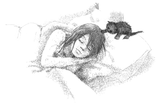 Иллюстрация к книге — Котёнок Клякса, или Загадка привидения [i_016.jpg]