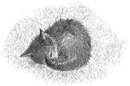 Иллюстрация к книге — Котёнок Клякса, или Загадка привидения [i_025.jpg]