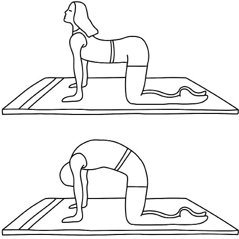 Иллюстрация к книге — Всем спать! Как наладить сон и улучшить качество жизни [i_027.jpg]