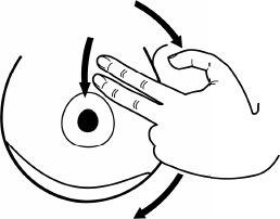 Иллюстрация к книге — Здравствуй, малыш! Как прожить четвертый триместр без забот и волнений [i_011.jpg]