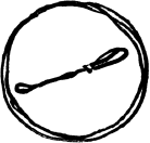 Иллюстрация к книге — 1000 вопросов и ответов по гинекологии [_11.jpg]