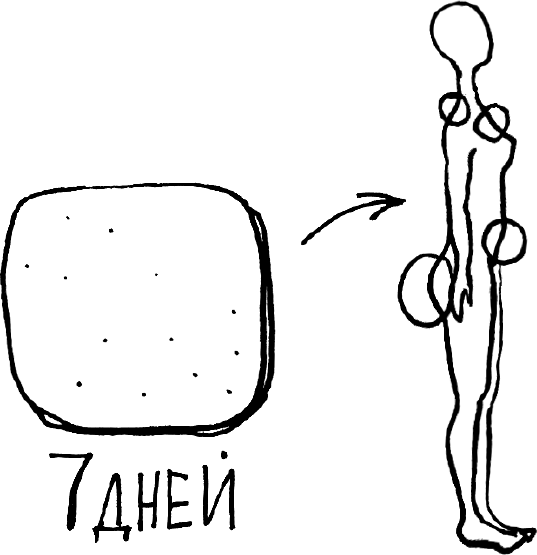 Иллюстрация к книге — 1000 вопросов и ответов по гинекологии [_39.jpg]
