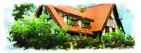 Иллюстрация к книге — Тайна Английского замка. Часть 1 [i_059.jpg]