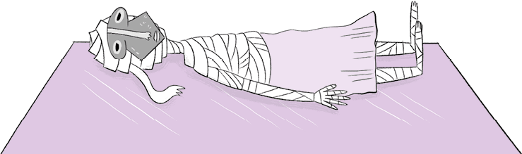 Иллюстрация к книге — Сокровища похищенной мумии [i_036.jpg]