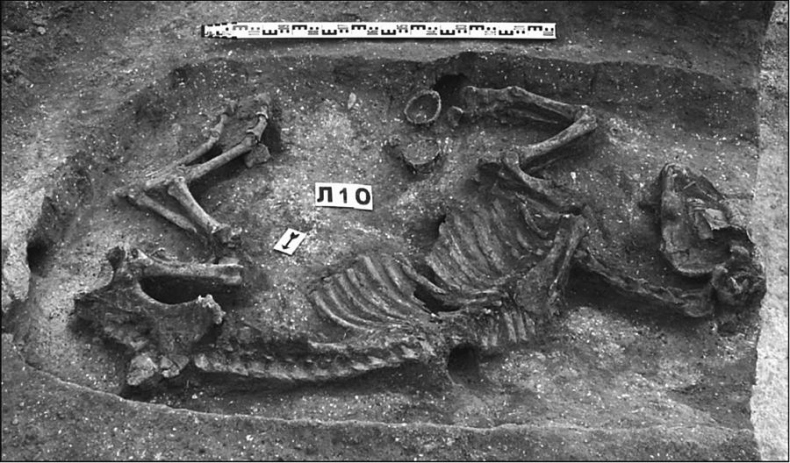 Иллюстрация к книге — Тайны хазар и русичей. Сенсации, факты, открытия [i_033.jpg]