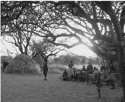 Иллюстрация к книге — Sapiens на диете. Всемирная история похудения, или Антропологический взгляд на метаболизм [i_001.jpg]