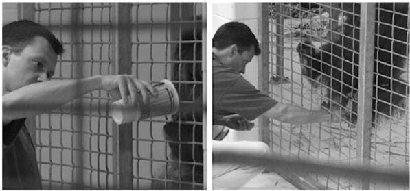 Иллюстрация к книге — Sapiens на диете. Всемирная история похудения, или Антропологический взгляд на метаболизм [i_003.jpg]