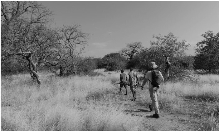 Иллюстрация к книге — Sapiens на диете. Всемирная история похудения, или Антропологический взгляд на метаболизм [i_007.jpg]