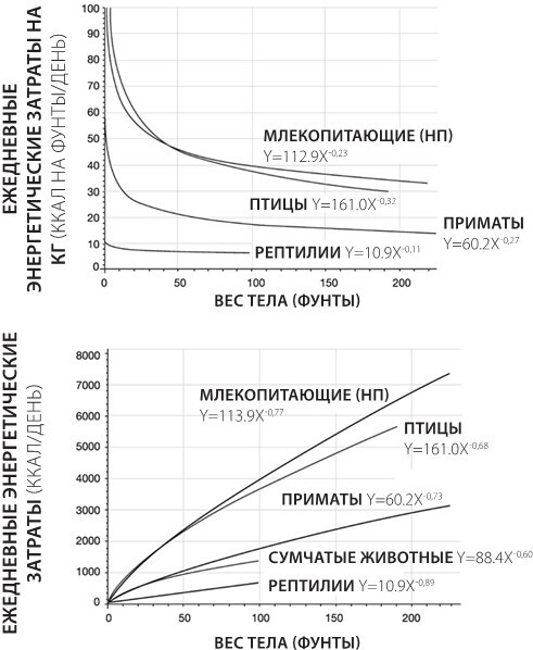 Иллюстрация к книге — Sapiens на диете. Всемирная история похудения, или Антропологический взгляд на метаболизм [i_009.jpg]