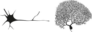 Иллюстрация к книге — Как мы видим? Нейробиология зрительного восприятия [i_004.jpg]