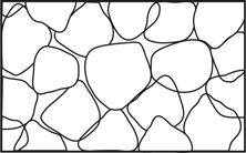 Иллюстрация к книге — Как мы видим? Нейробиология зрительного восприятия [i_015.jpg]