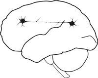 Иллюстрация к книге — Как мы видим? Нейробиология зрительного восприятия [i_029.jpg]