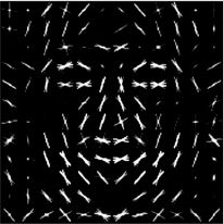 Иллюстрация к книге — Как мы видим? Нейробиология зрительного восприятия [i_035.jpg]