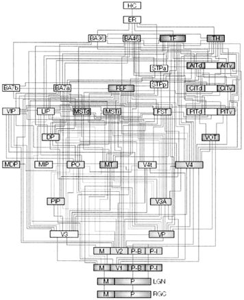 Иллюстрация к книге — Как мы видим? Нейробиология зрительного восприятия [i_036.jpg]