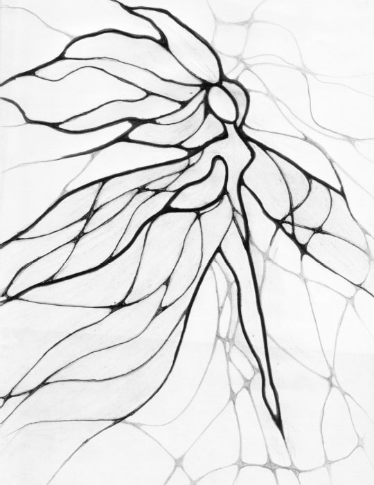 Иллюстрация к книге — Матрица стройности. Как худеть, ни в чем себе не отказывая [i_007.jpg]