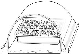 Иллюстрация к книге — Как вырастить свою рассаду и разбить правильные грядки [i_043.jpg]